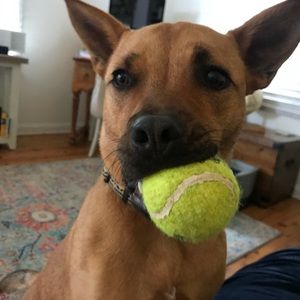 Meet your Posher, Rae